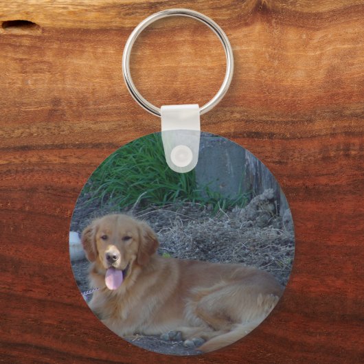 Golden Retrieve Sleutelhanger (Voorkant)
