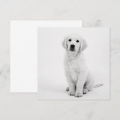 Golden Retriever (Voorkant / Achterkant)