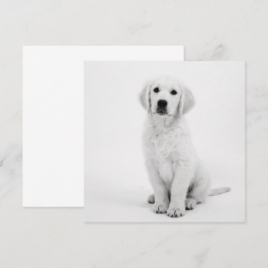 Golden Retriever (Voorkant / Achterkant)