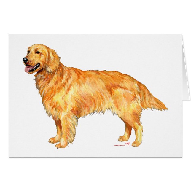 Golden Retriever (Voorkant Horizontaal)