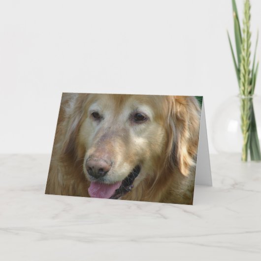 Golden Retriever 10 jaar oud Kaart (Voorkant)