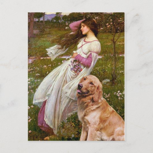 Golden Retriever 1 - Windflowers Briefkaart (Voorkant)