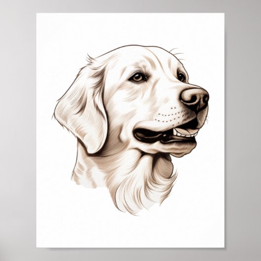 Golden Retriever 2 Poster (Voorkant)