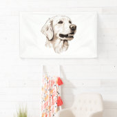 Golden Retriever 2 Spandoek (Insitu)