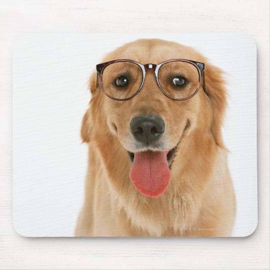 Golden Retriever 3 Muismat (Voorkant)