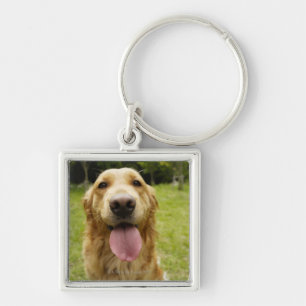 Golden Retriever 4 Sleutelhanger