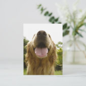 Golden Retriever 5 Briefkaart (Staand voorkant)
