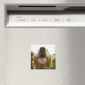 Golden Retriever 5 Magneet (Insitu (Vaatwasser))