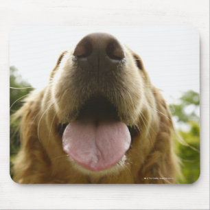 Golden Retriever 5 Muismat