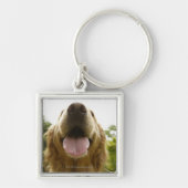 Golden Retriever 5 Sleutelhanger (Voorkant)
