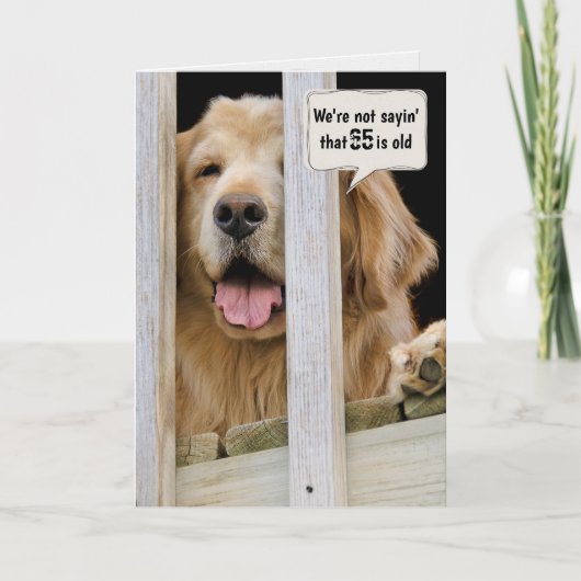 Golden Retriever 65th Birthday Humor Kaart (Voorkant)