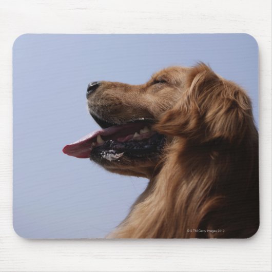 Golden Retriever 6 Muismat (Voorkant)
