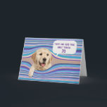 Golden Retriever 70th Birthday Humor Kaart<br><div class="desc">Golden rekwieg op een gevlekte stripe achtergrond voor de 70ste verjaardag humor.</div>