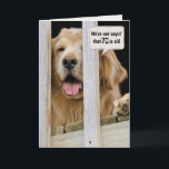 Golden Retriever 70th Birthday Humor Kaart<br><div class="desc">Golden Retriever die door een houten dek naar het graven kijkt voor de 70ste verjaardag van een paar of een groep. De tekst kan worden bewerkt.</div>