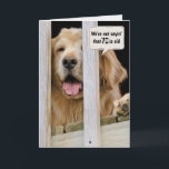 Golden Retriever 70th Birthday Humor Kaart<br><div class="desc">Golden Retriever die door een houten dek naar het graven kijkt voor de 70ste verjaardag van een paar of een groep. De tekst kan worden bewerkt.</div>