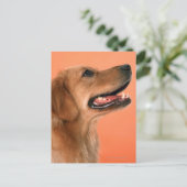 Golden Retriever 7 Briefkaart (Staand voorkant)