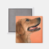 Golden Retriever 7 Magneet (Voorkant / Achterkant)