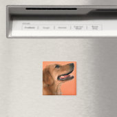 Golden Retriever 7 Magneet (Insitu (Vaatwasser))