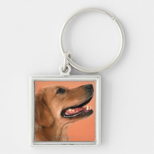 Golden Retriever 7 Sleutelhanger (Voorkant)