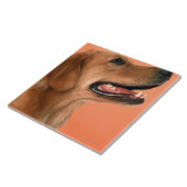 Golden Retriever 7 Tegeltje (Zijkant)
