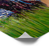 Golden Retriever 8 - Sterrennacht Poster (Hoek)