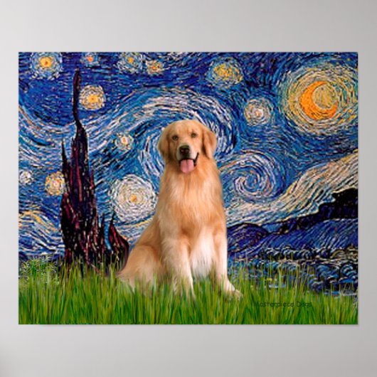 Golden Retriever 8 - Sterrennacht Poster (Voorkant)