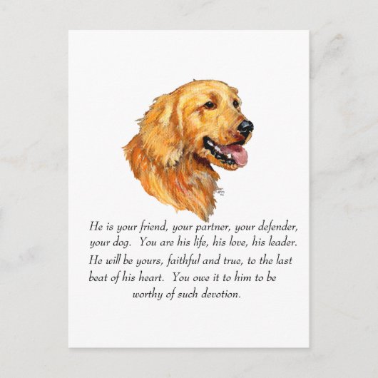 Golden Retriever Aandenken Briefkaart (Voorkant)