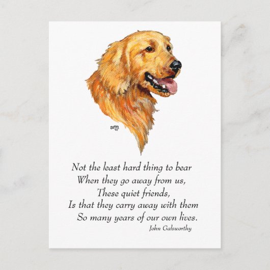 Golden Retriever Aandenken Briefkaart (Voorkant)