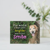 Golden Retriever achter een glimlach Briefkaart (Staand voorkant)