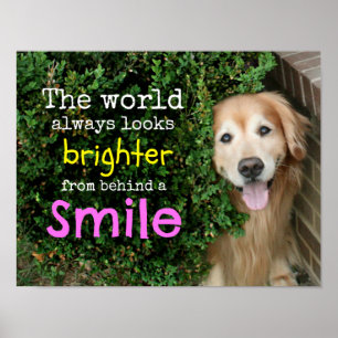 Golden Retriever achter een glimlach Poster