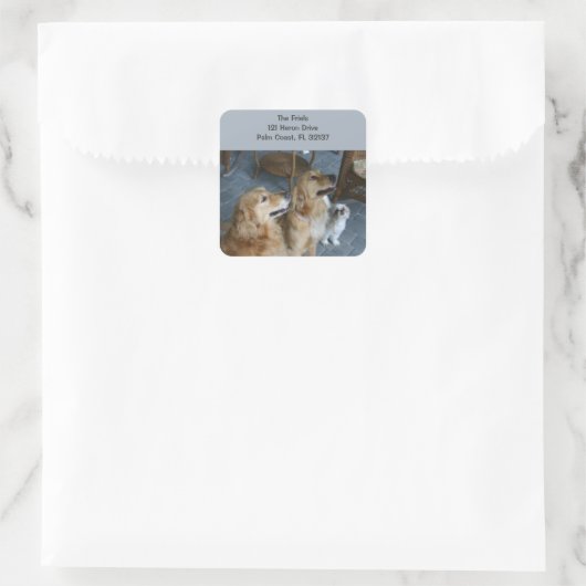 Golden Retriever Address Sticker (Tas)