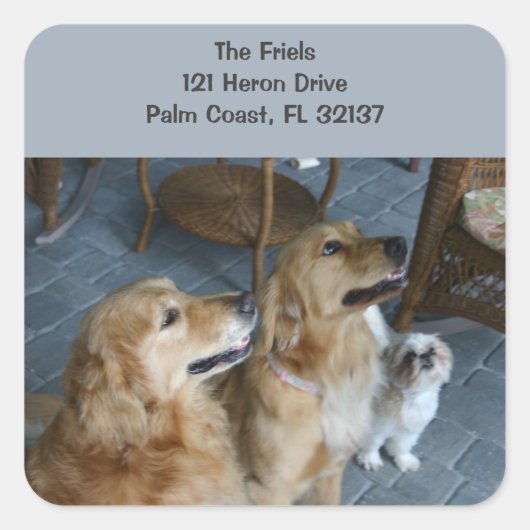 Golden Retriever Address Sticker (Voorkant)