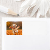 Golden Retriever adreslabels Etiket (Insitu)