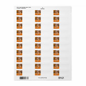 Golden Retriever adreslabels Etiket (Full Sheet)