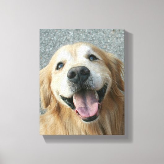 Golden Retriever — Afdrukken met omhuld Canvas (Voorkant)