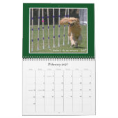 Golden Retriever Agenda 2012 Kalender (Feb 2027)