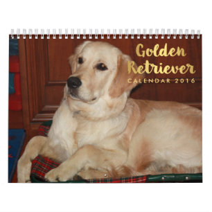 Golden Retriever Agenda 2016 Kalender