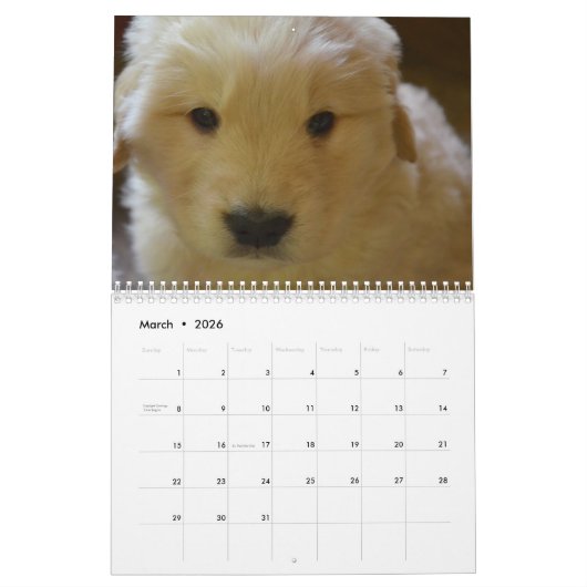 Golden Retriever Agenda 2016 Maak hem persoonlijk Kalender (Mar 2026)