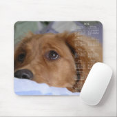 Golden Retriever Agenda 2016 Muismatten (Met muis)