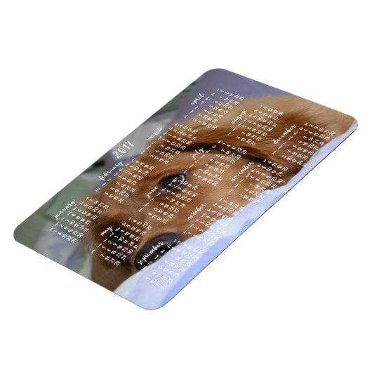 Golden Retriever Agenda 2017 Grote Foto Magneet (Linkerzijde)