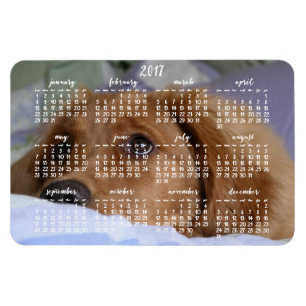 Golden Retriever Agenda 2017 Grote Foto Magneet