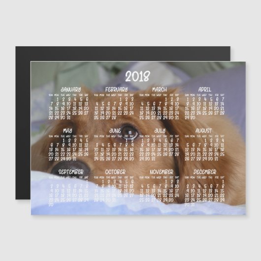 Golden Retriever Agenda 2018 Magnetische Kaart 5x7 (Voorkant / Achterkant)