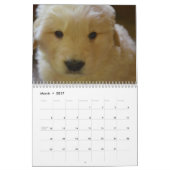 Golden Retriever Agenda 2023 Kalender (Mar 2017)
