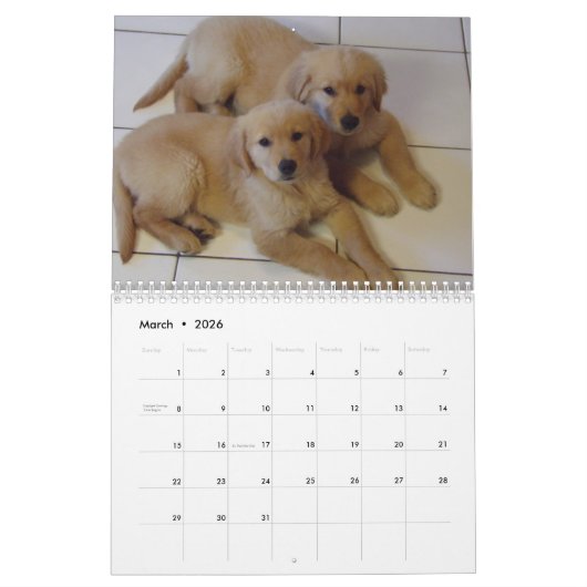 Golden Retriever Agenda 2023 Met Jouw Foto's Kalender (Mar 2026)