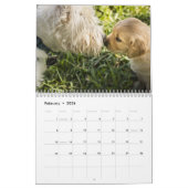 Golden Retriever Agenda 2023 Met Jouw Foto's Kalender (Feb 2026)