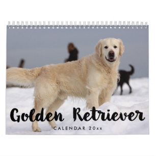 Golden Retriever Agenda 2023 Voeg je foto's toe Kalender