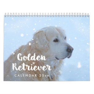 Golden Retriever Agenda 2026 Maandelijks Kalender