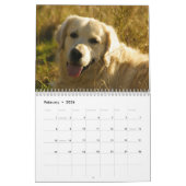 Golden Retriever Agenda 2026 Met Foto's Kalender (Feb 2026)