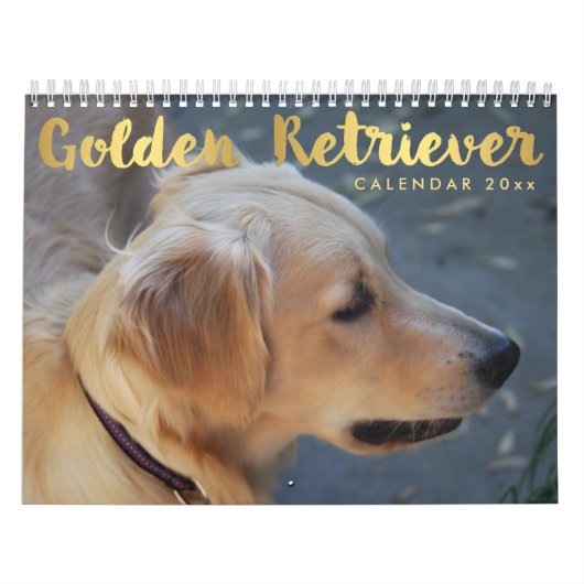 Golden Retriever Agenda 2026 Met Foto's Kalender (Hoes)