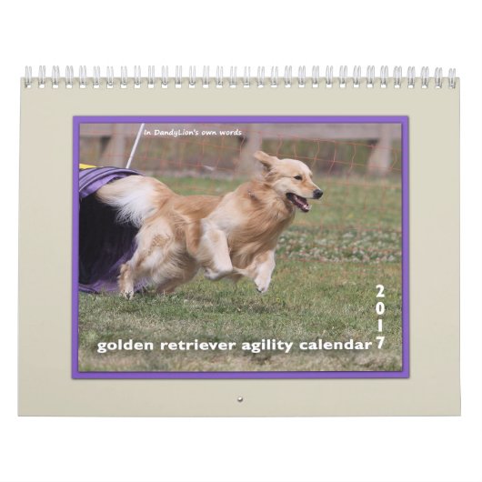 Golden Retriever Agility 2017 Kalender (Hoes)